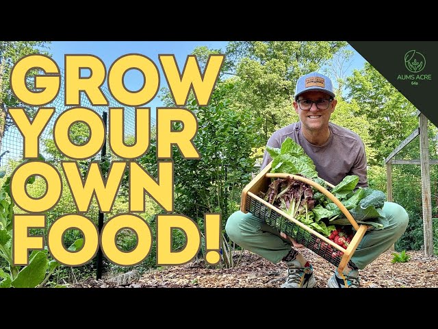 You too can grow a FOOD FOREST