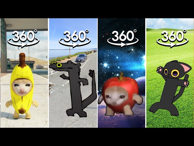 FIND All Toothless Dance But Cat Meme | Banana Cat Crying  Finding Challenge 360º VR Video