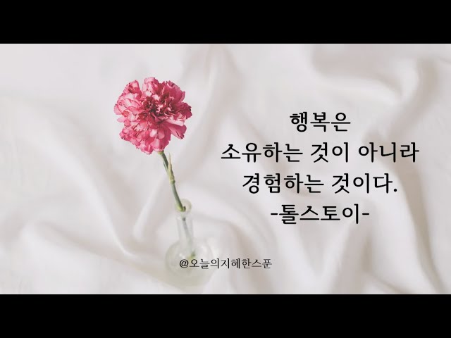 “세상의 지혜를 매일 만나다.”001-050