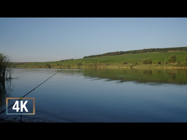 ASMR: Peaceful Fishing by the Lake | 3 Hours of Nature Sounds for Relaxation