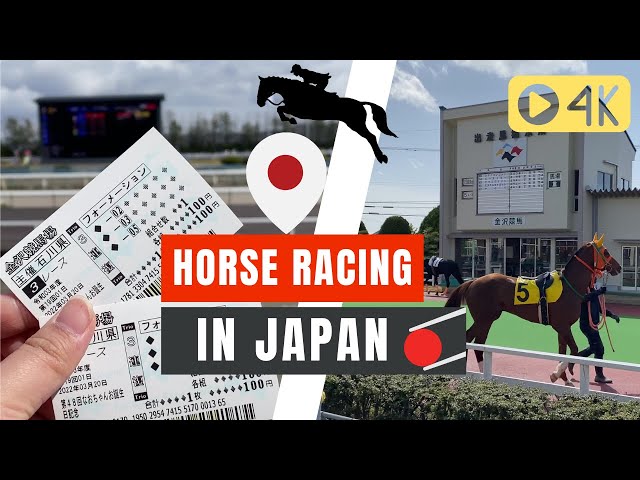 I Tried HORSE Racing in Japan for the FIRST time (How much did I win?💸)　石川県金沢市金沢競馬場