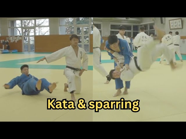 Here's why high level Japanese judokas train Kata