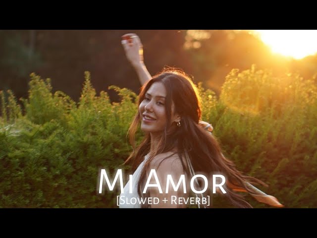 Mi Amor (Oh Gabru Nu Billo Kehre Chakra Ch Paya) | Ft. Sonam Bajwa | Sharn | Slowed + Reverb | 40 K