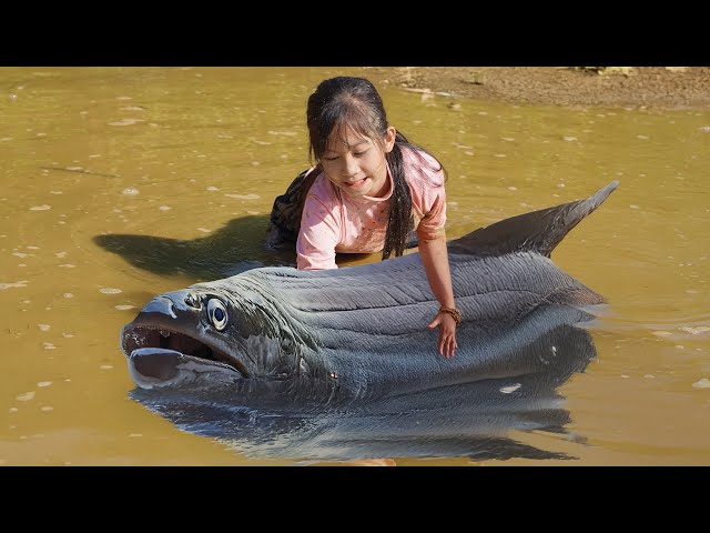 Poor Girl Catches Many Big Fish with Just Her Bare Hands and Go to Market Sell | Poor Girl +