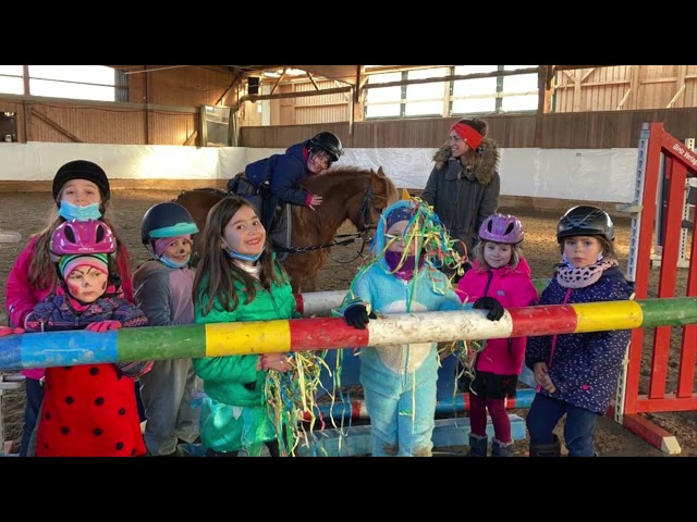 Unsere vierstufige Reitschule stellt sich vor!