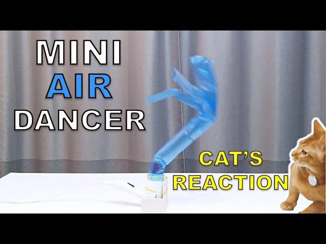 How to Make a Mini Air Dancer and Cat's Reaction