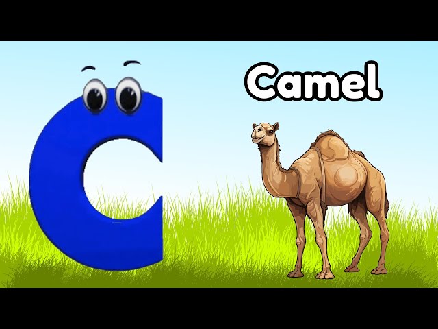 ABC Phonics Song | Alphabet letter sounds | ABC learning for toddlers | Education ABC Nursery Rhyme