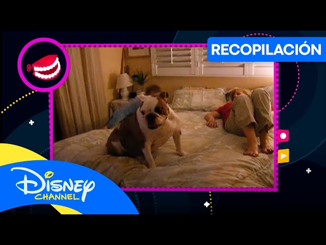 JaJa Show SuperLOL: No te Rías 15  | Disney Channel Oficial