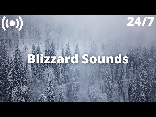 Blizzard Snowstorm Winter Sounds | Relaxing Sounds for Sleeping: Nature White Noise