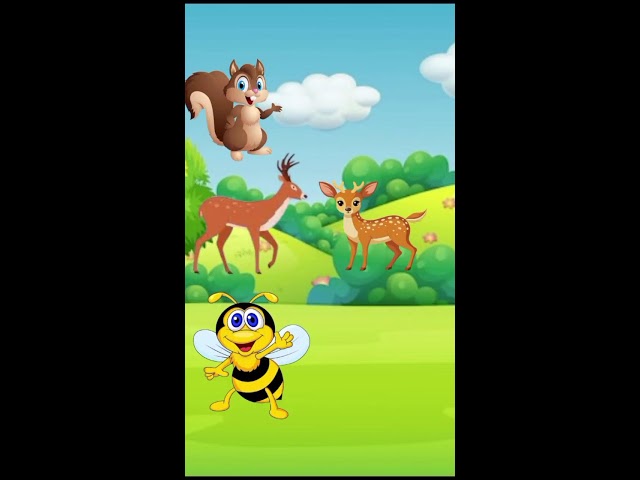 Cartoon Live Funny Cartoon Chor Dhondo Sky Berry Funny Live!