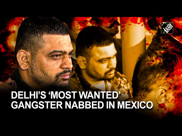 Delhi’s ‘Most Wanted’ gangster Deepak Boxer nabbed and brought back from Mexico