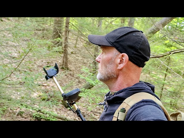 Wait till you see what walked by me today metal detecting in the woods