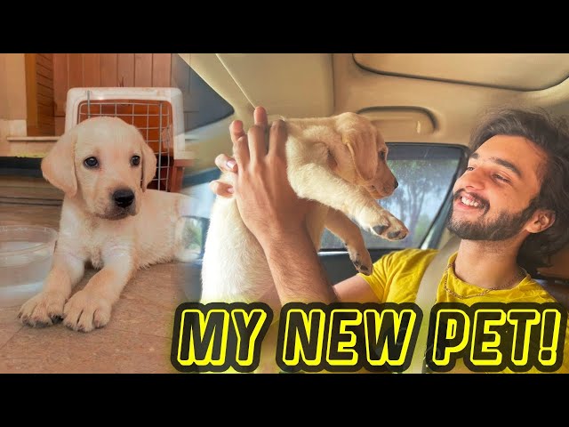 MY NEW PET!! | Am i selling it??