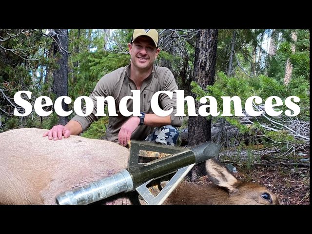 2024 Montana Archery Elk | DIY Solo Elk Hunt | Self Filmed | Hunting HIGH Pressured Elk