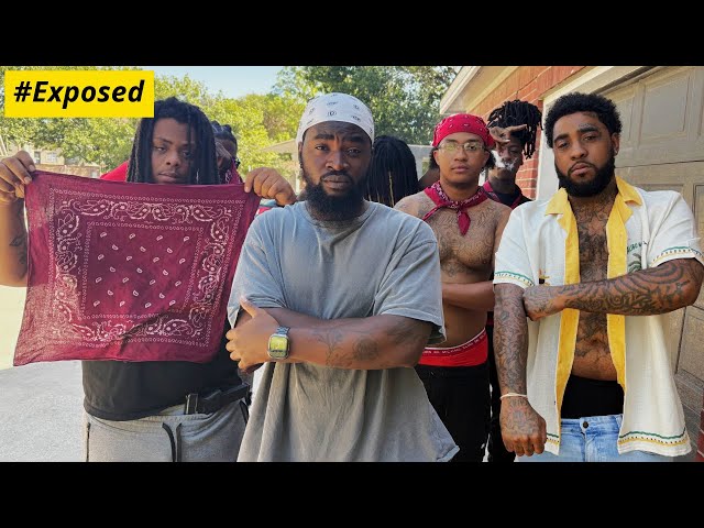 The Most HATED GANG in Houston, TX | Inside Tree Top Piru Bloods