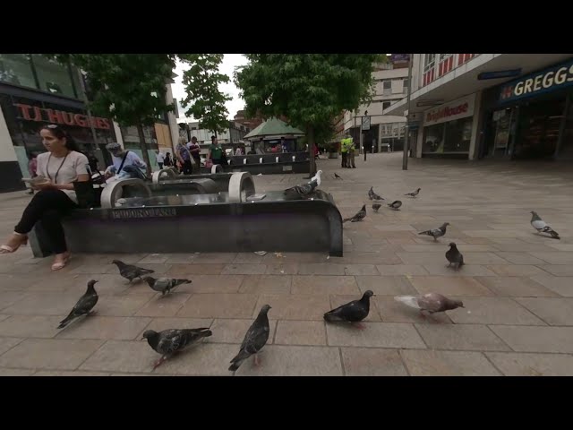 VR180° Old man feeding a large gathering of pigeons