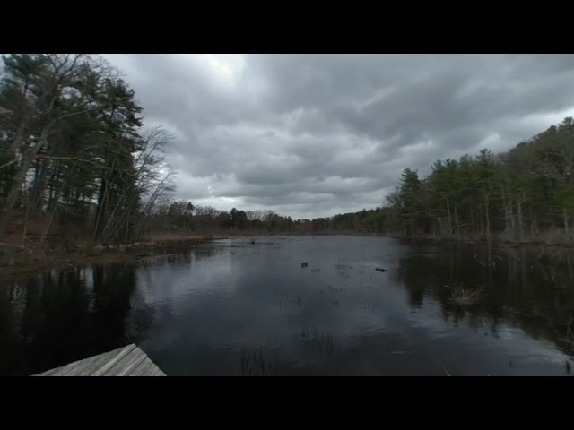 View from Broadmoor Wildlife Sanctuary