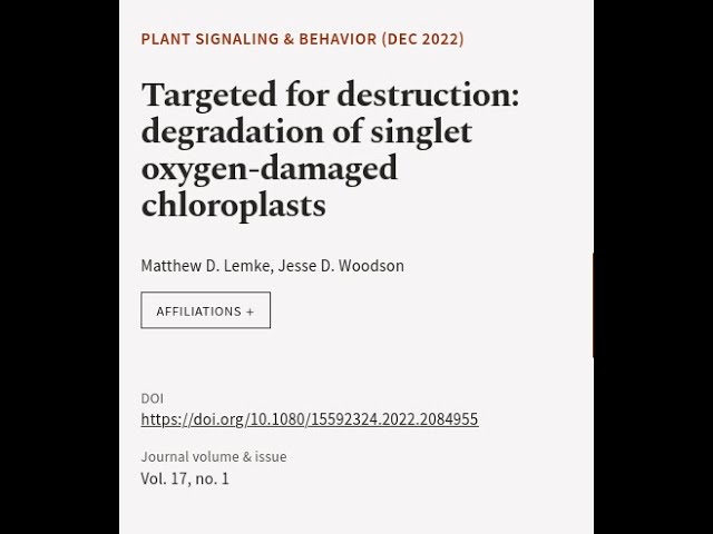 Targeted for destruction: degradation of singlet oxygen-damaged chloroplasts | RTCL.TV