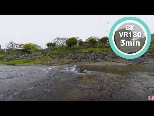 3 Min Meditation Sound of rain and river VR180 8K Binaural ASMR