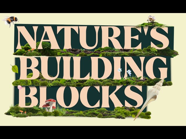 Nature's Building Blocks - Trailer | Biotechnology series | BBC StoryWorks