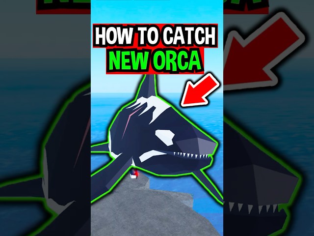 HOW TO CATCH ORCA in Roblox Fisch..