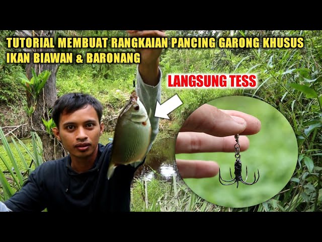 CARA MEMBUAT RANGKAIAN PANCING GARONG SUPER JITU UNTUK MANCING IKAN BIAWAN