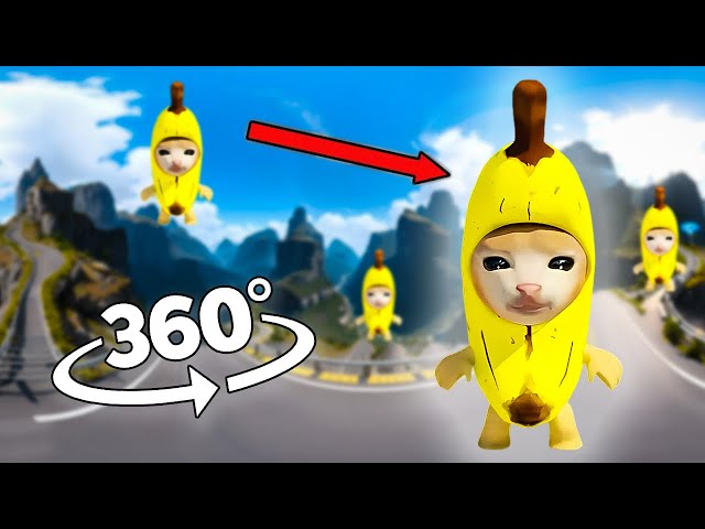 Banana Cat Finding Challenge 360º VR Video