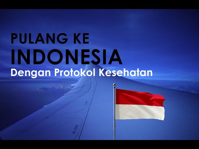 Pulang ke Indonesia saat pandemi. Gimana peraturannya? [ENG SUB]