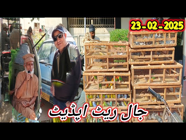 Lalukhet Sunday Birds Market live update 23-02-2025 @SYEDBIRDS