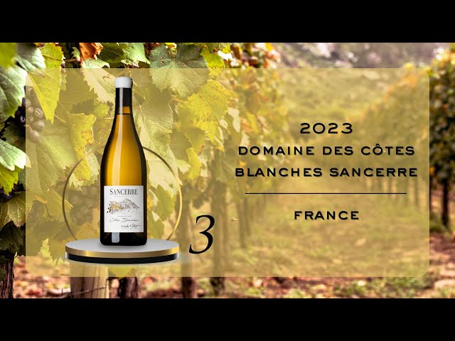 Wine #3: 2023 Domaine des Côtes Blanches Sancerre