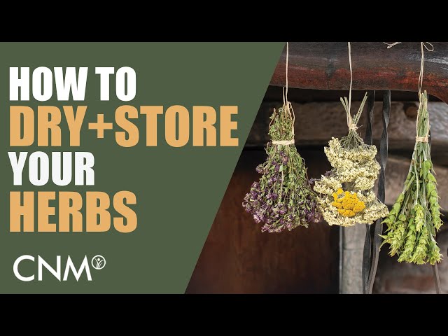 How To Dry and Store Your Herbs