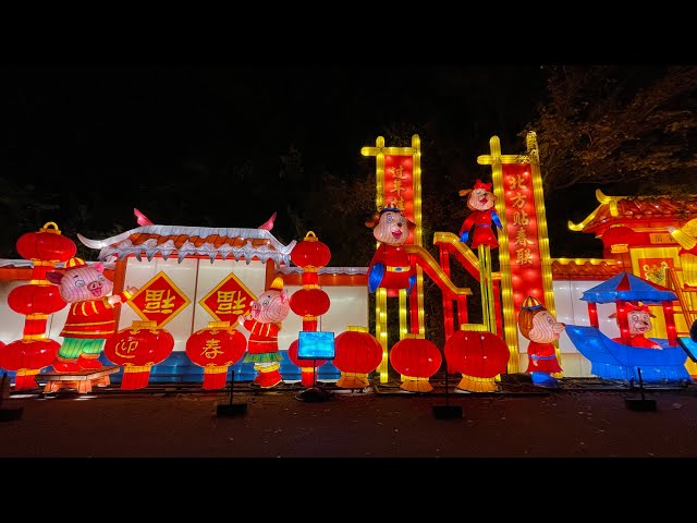 Enjoy Fun Time Wild Lights Sedgwick County Zoo Best Outdoor Exhibit at Night #fun #happy #wildlights