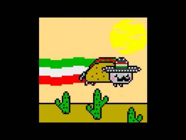 Taco-Cat(Mexican Nyan Cat) 10 hours