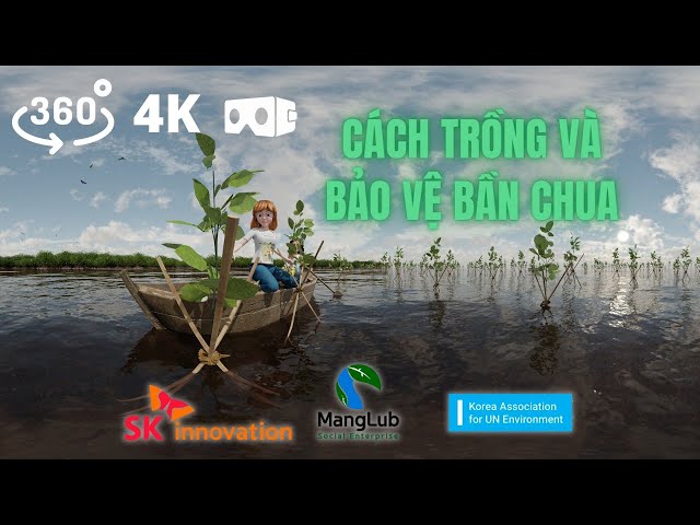 360 4k Cách Trồng Và Bảo Vệ Bần Chua