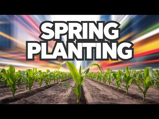 Farming Simulator 2025 Shenanigans! Planting 750 Acres in Cruger, Mississippi!