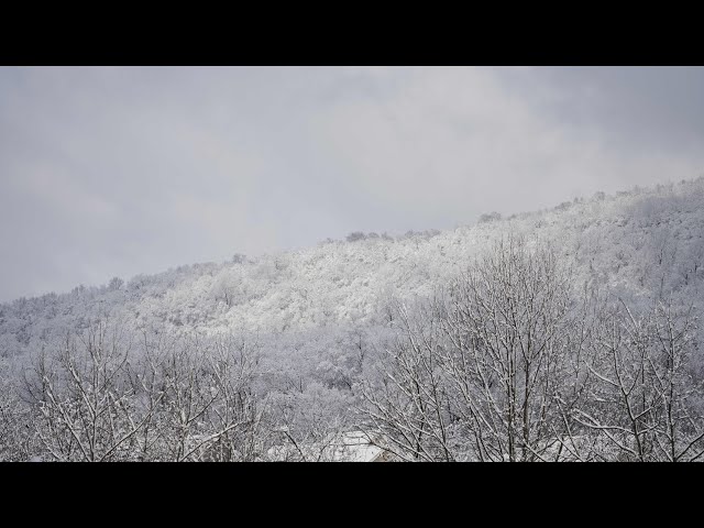 11-22-2024 Northeastern, PA - Damaging snowstorm