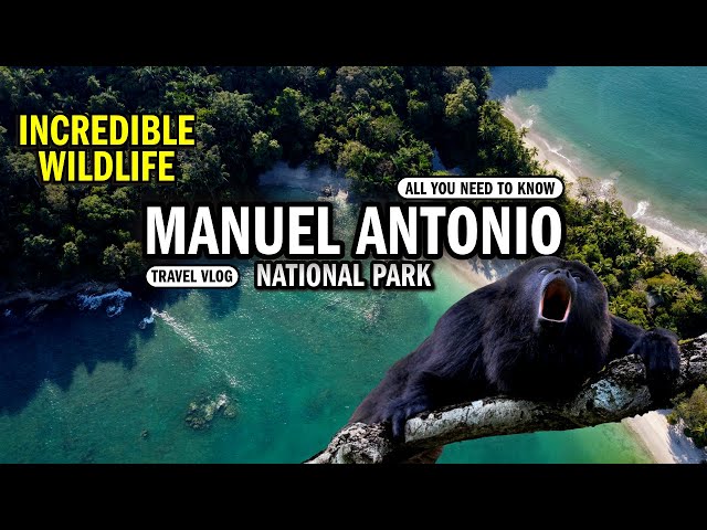 Our WILD ADVENTURE at Manuel Antonio National Park in Costa Rica 2024 [4K|11.ai]