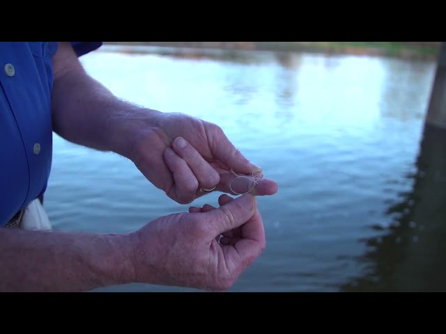 Drawing the line one shoreline clean up (short version)