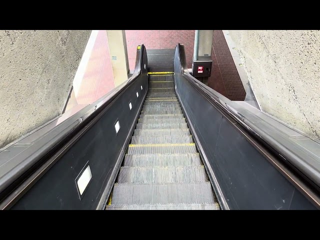 Easter Sunday! Escalators Down to Trains, West Falls Church-VT/UVA Station, Falls Church, VA