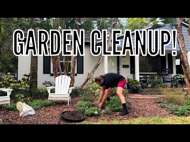 Perennial Plant Cleanup | Spring Garden Prep | Transplanting & Pruning // The Gardener's Garden