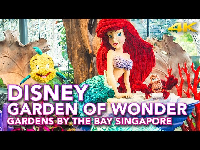 Disney Garden of Wonder Tour | Gardens by the Bay Christmas event vlog