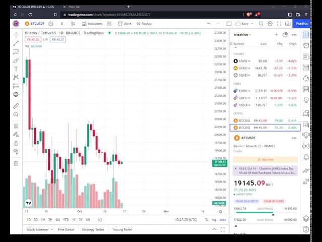 BTC LIVE