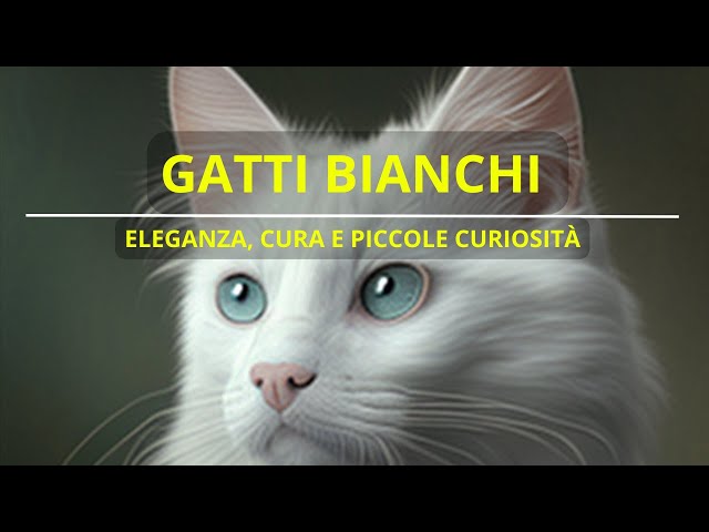 GATTI BIANCHI:  ELEGANZA, CURA E PICCOLE CURIOSITA - PETOPIA