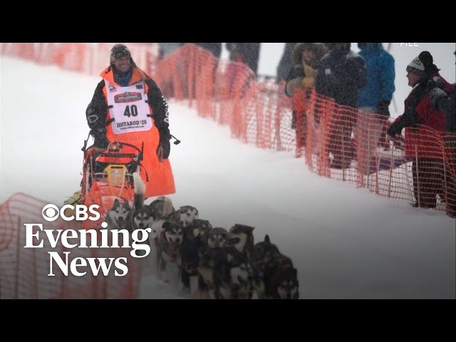 Iditarod sled dog race starting line relocated over lack of snow