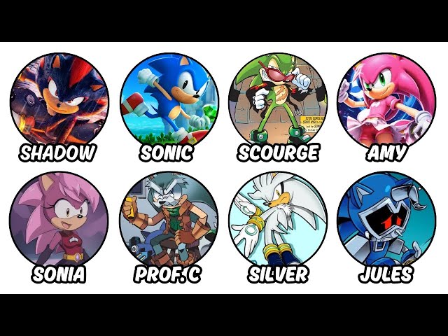 Every Hedgehog in Sonic Explained in 8 Minutes