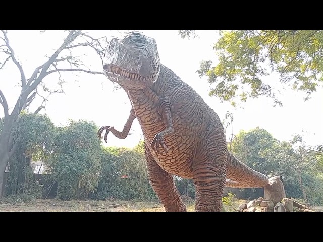 "🌟Exploring the Zoo | Adventures Vlog 🦁 | A mazing Animal Encounters & Fun Moments!"