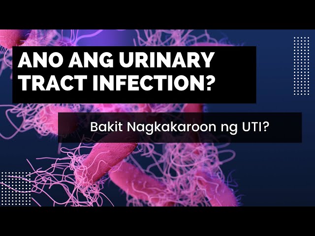 UTI: Ano Ang Urinary Tract Infection?