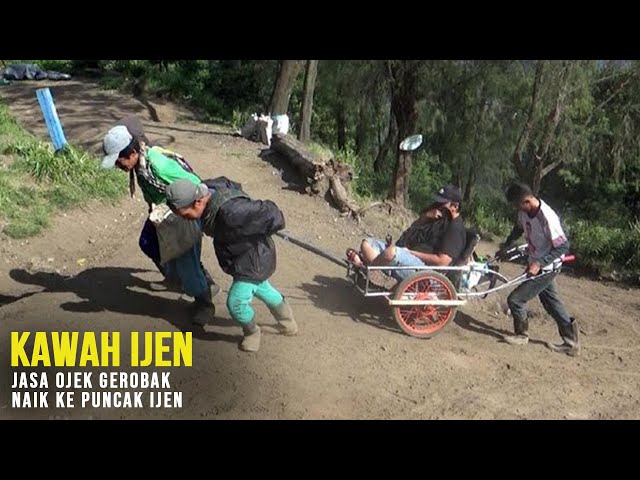 Kawah Ijen, Danau Asam Terbesar di Puncak Gunung Ijen