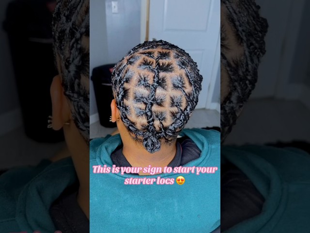 Start those starter locs 🥰🥰