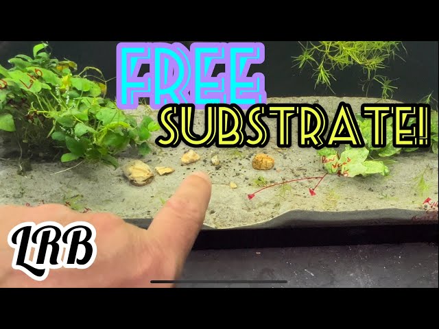 Free Aquarium Plant Substrate and Cloudy Water Causes